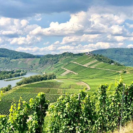 Appartamento Haus Am Ufer Mit Rheinpanoramablick Coblenza Esterno foto