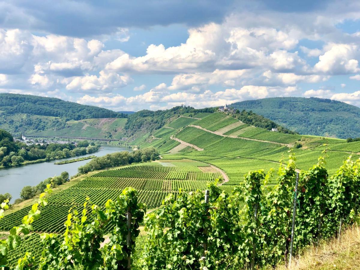 Appartamento Haus Am Ufer Mit Rheinpanoramablick Coblenza Esterno foto