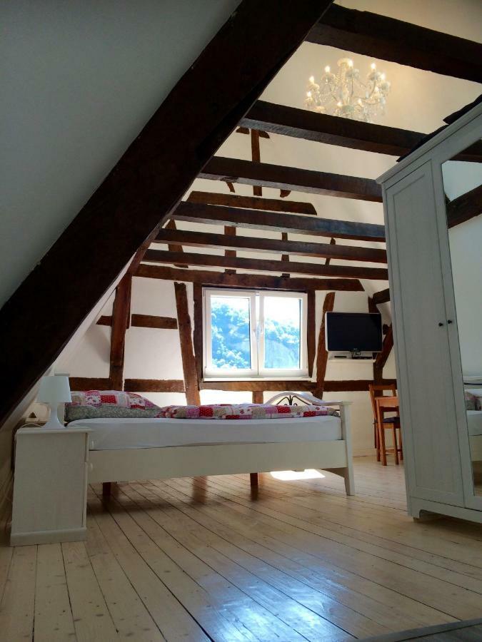 Appartamento Haus Am Ufer Mit Rheinpanoramablick Coblenza Esterno foto
